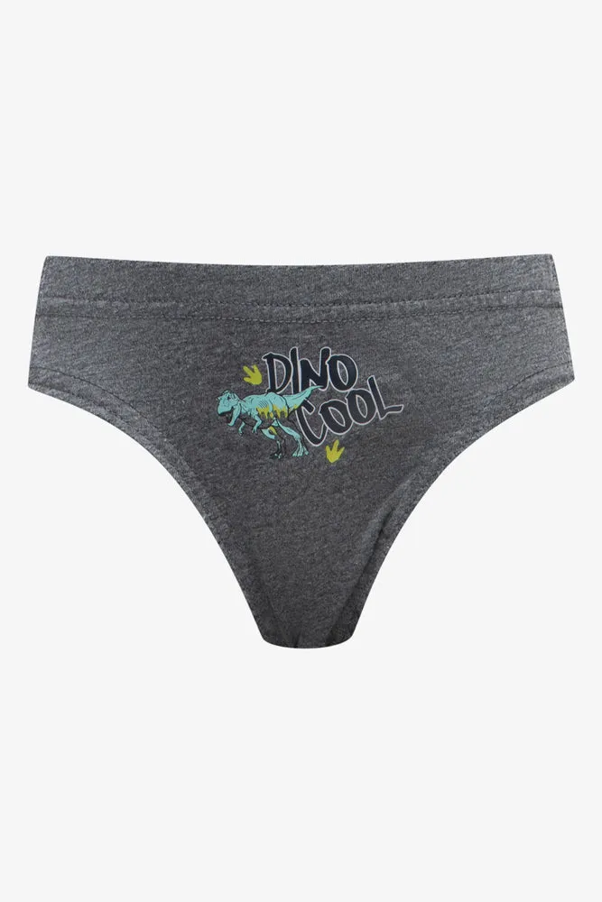 5 Pack Dino Briefs Grey, Green & Blue